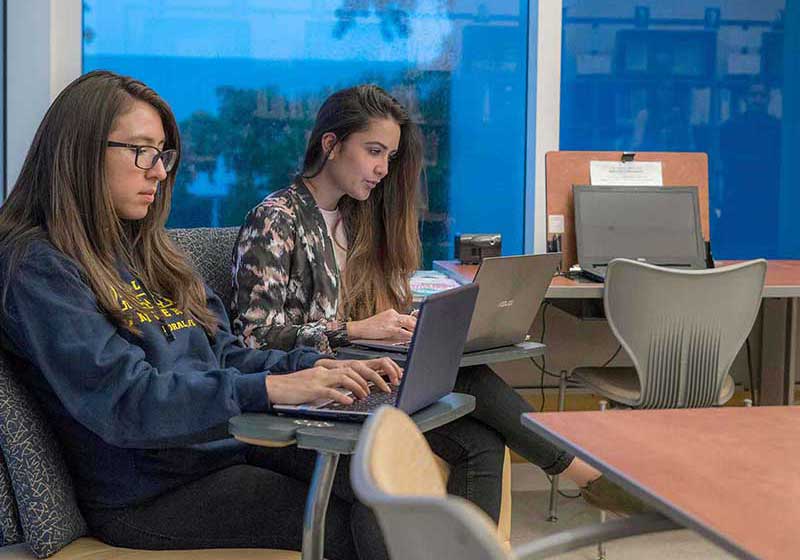 Two students working on their laptops.
